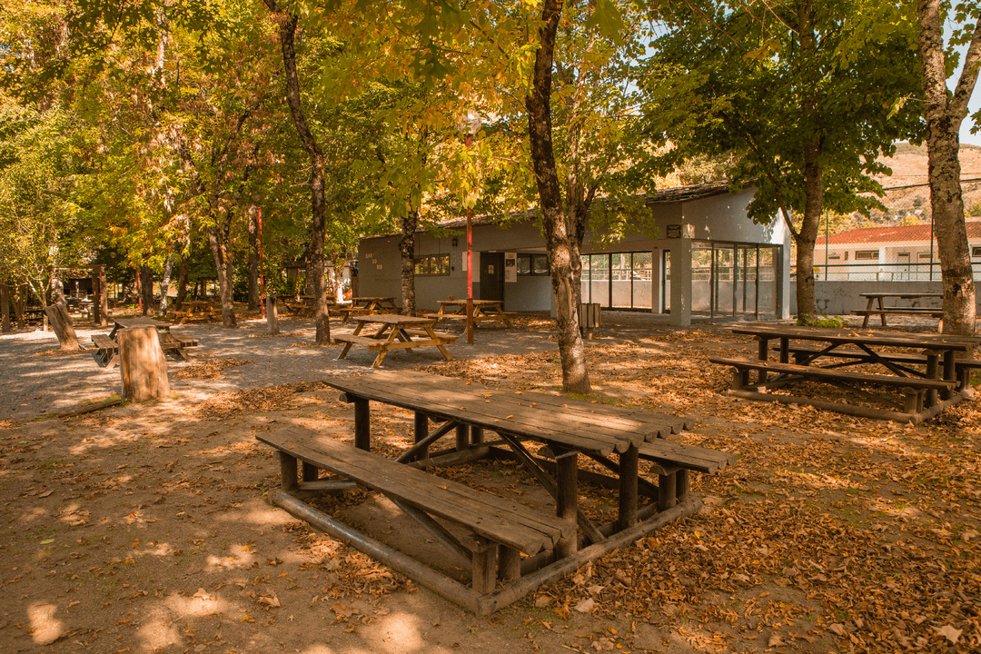 The River Beach of Alvoco das Várzeas