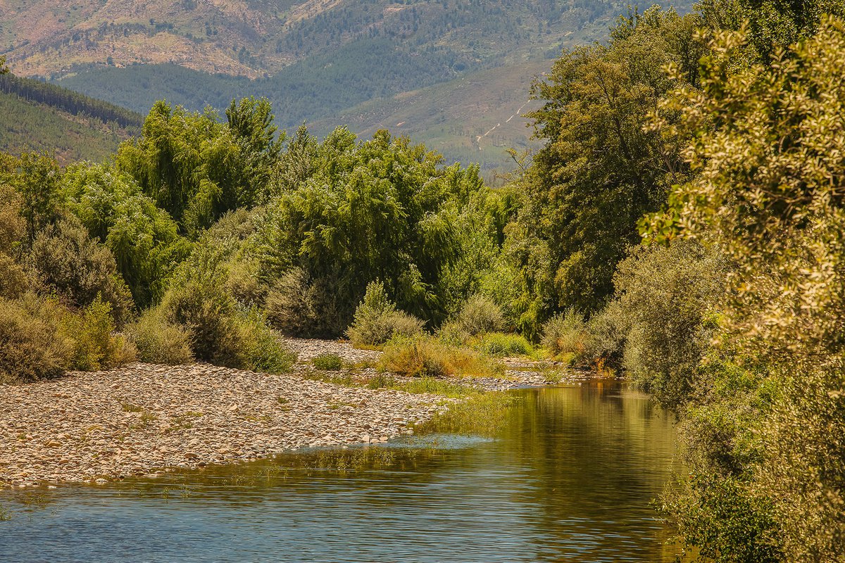 Zezere river in Valhelhas