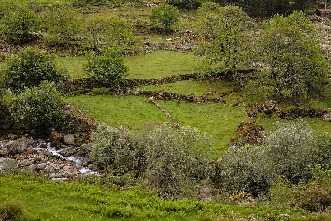 PR 7 SEI - Ruta de las Cañadas